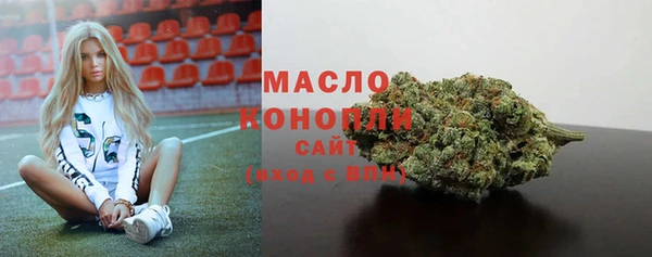 хмурый Вяземский