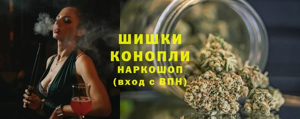 хмурый Вяземский