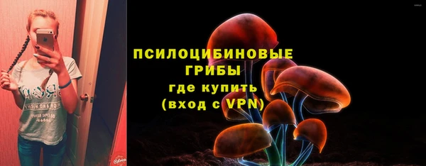 хмурый Вяземский