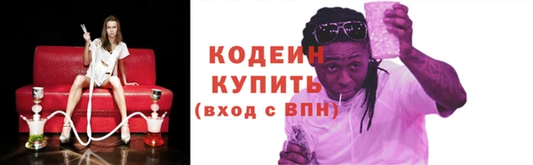 хмурый Вяземский